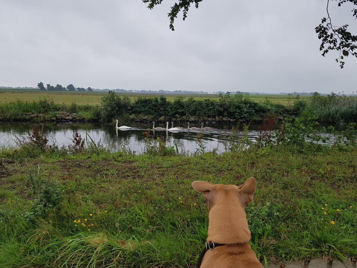 Drenths Landgoed, Welkom Thuis Annerveenschekanaal エクステリア 写真